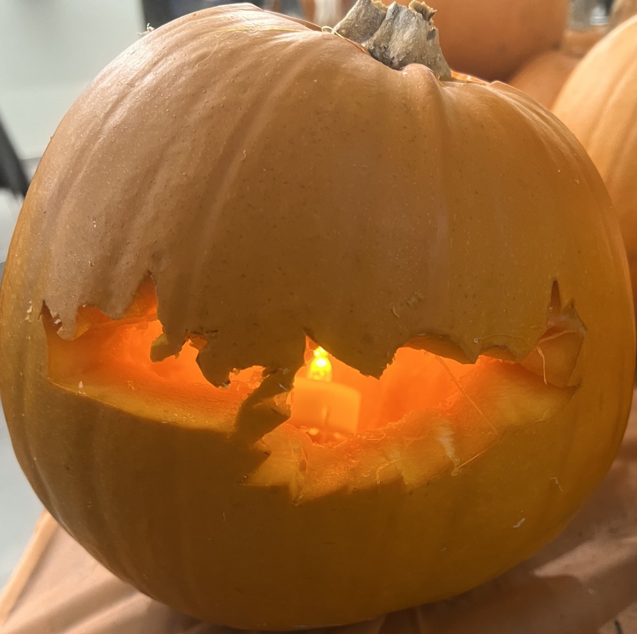 pumpkin1.jpg