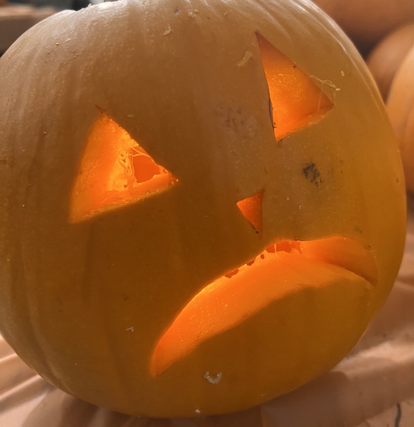 pumpkin2.jpg